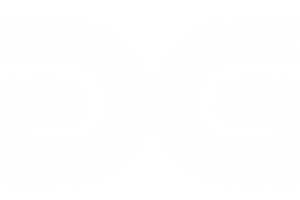 LOGOS DUZCA PNG-04 (1)